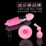 Multi-Mode Compact Vibrator - Image 4