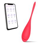 App-Controlled Remote Vibrator