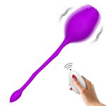 Remote-Controlled Vibrator - Image 6