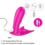 Remote-Controlled Wearable Vibrator - Image 5