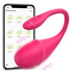 Remote-Controlled Wearable Vibrator - Image 2