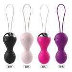 Remote-Controlled Vibrator - Image 5