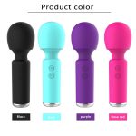 USB Rechargeable Vibrator - Image 2