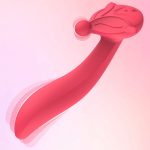 USB Rechargeable Dual-Action Vibrator