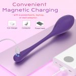 App-Controlled Remote Vibrator - Image 5