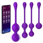 App-Controlled Remote Vibrator - Image 6