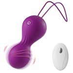 Remote-Controlled Vibrator
