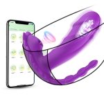 Remote-Controlled Wearable Vibrator