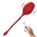 Remote-Controlled Vibrator