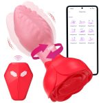 App-Controlled Remote Vibrator - Image 2