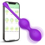 App-Controlled Remote Vibrator