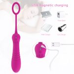 Remote-Controlled Vibrator - Image 3