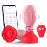 App-Controlled Remote Vibrator