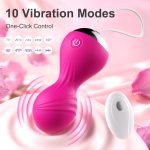 Remote-Controlled Vibrator - Image 3
