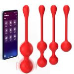 App-Controlled Remote Vibrator