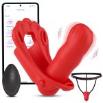 Remote-Controlled Wearable Vibrator