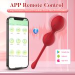 App-Controlled Remote Vibrator - Image 2