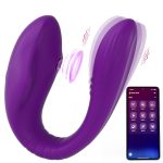 Remote-Controlled Wearable Vibrator