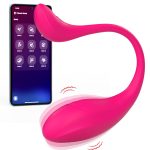 Remote-Controlled Wearable Vibrator - Image 6