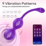 App-Controlled Remote Vibrator - Image 2