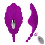 Remote-Controlled Wearable Vibrator