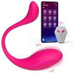 Remote-Controlled Wearable Vibrator