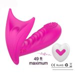 Remote-Controlled Wearable Vibrator