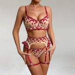 Red Women's Sheer Lingerie Set